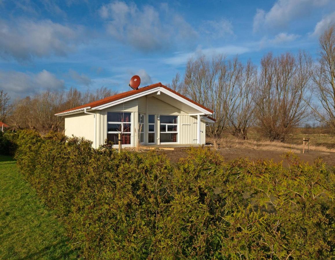 Daenische Ferienhaeuser Am Salzhaff Haus Vogelparadies Insel Poel Εξωτερικό φωτογραφία