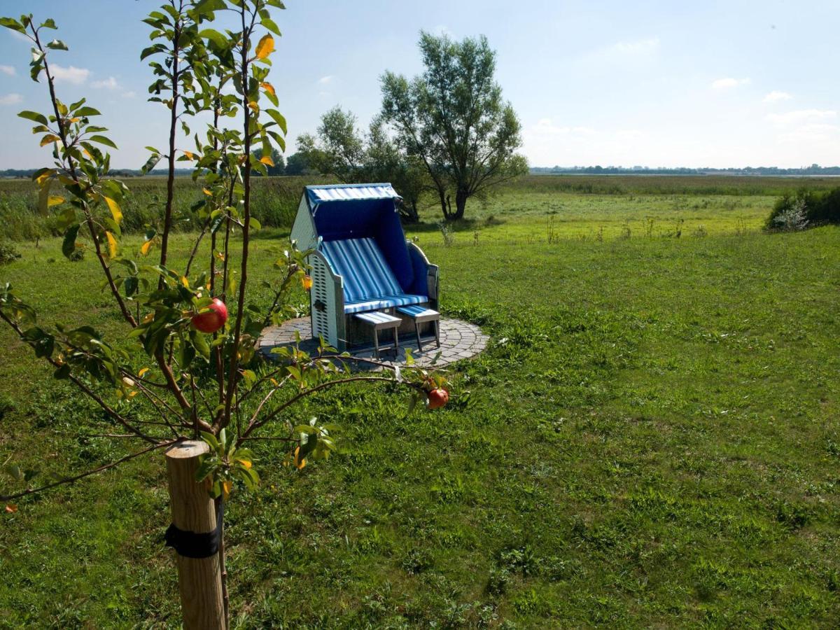 Daenische Ferienhaeuser Am Salzhaff Haus Vogelparadies Insel Poel Εξωτερικό φωτογραφία